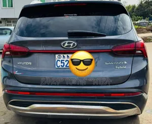 Hyundai Santa Fe 2022 Gray