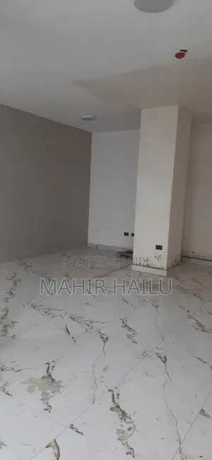 Photo - ለቢሮ አገልግሎት ብቻ