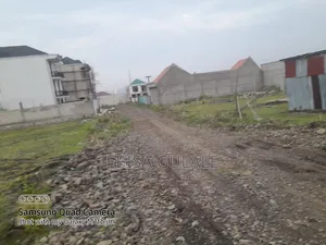 Konto Bota