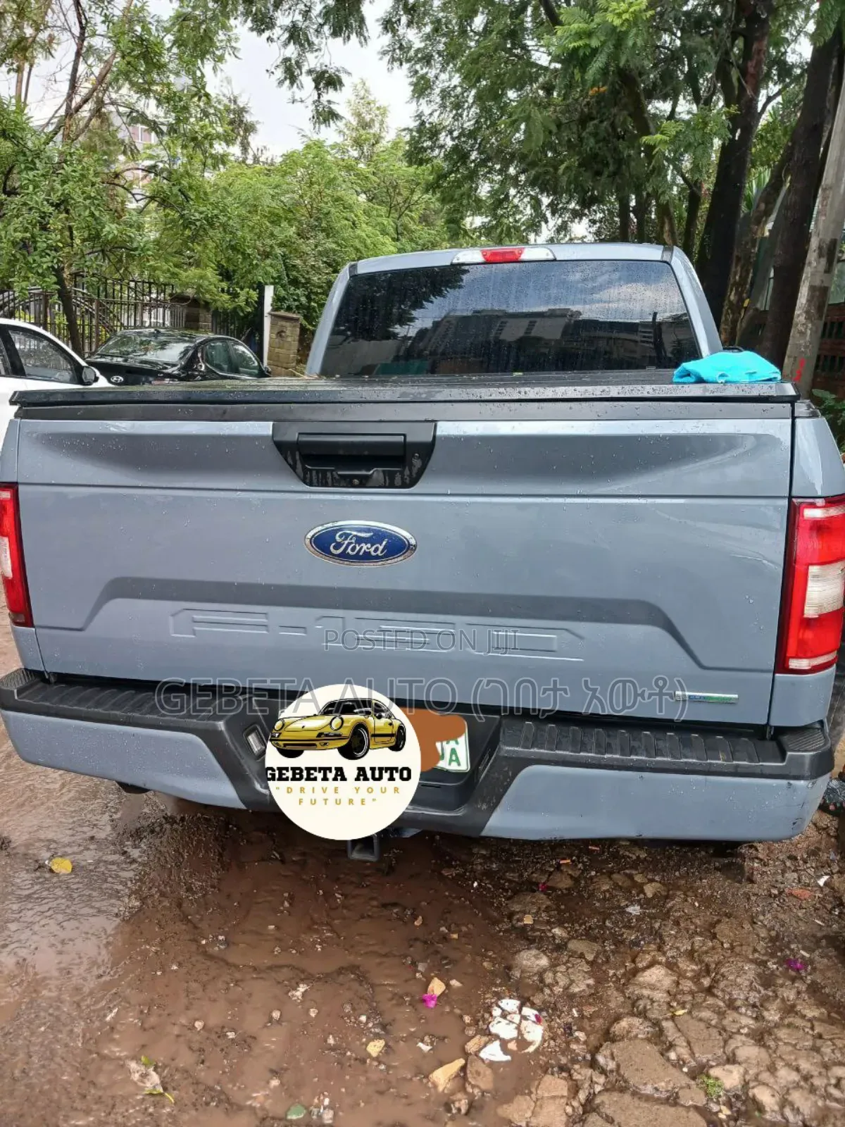 Ford F-150 2020 Gray