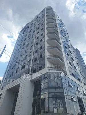 Photo - Furnished 2bdrm Apartment in Gafat And Roomarck, Bole for sale