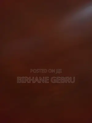 Luxury Apartimenr Rent for Office