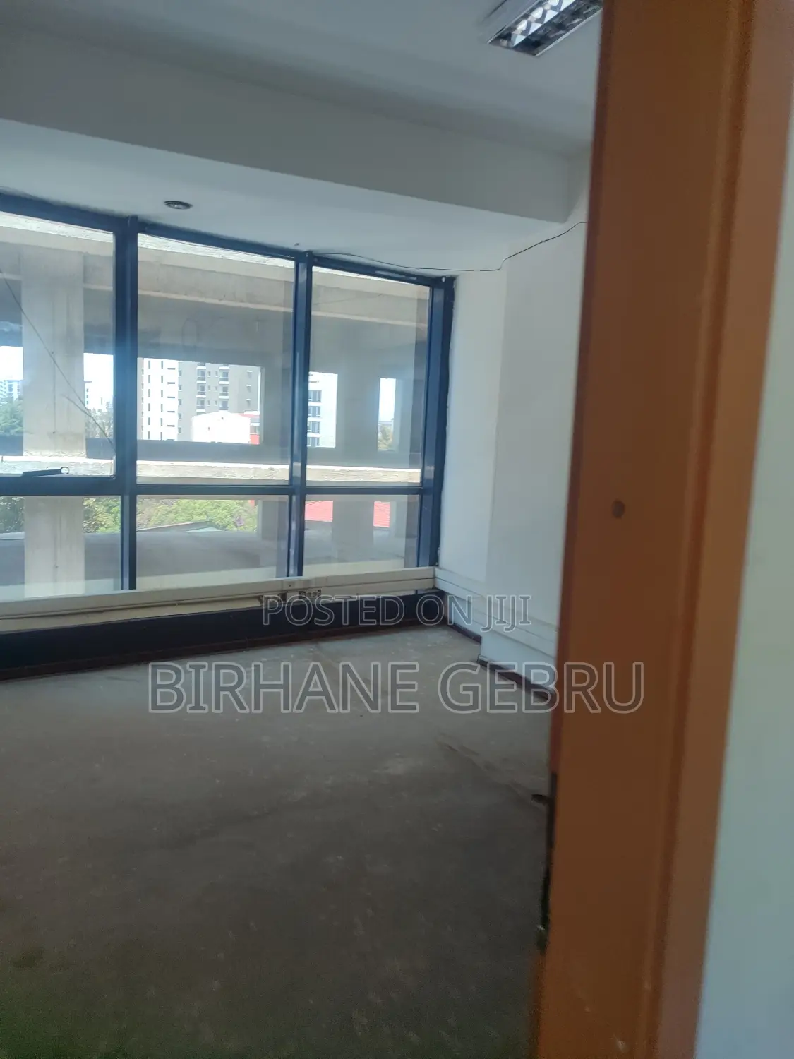 Luxury Apartimenr Rent for Office
