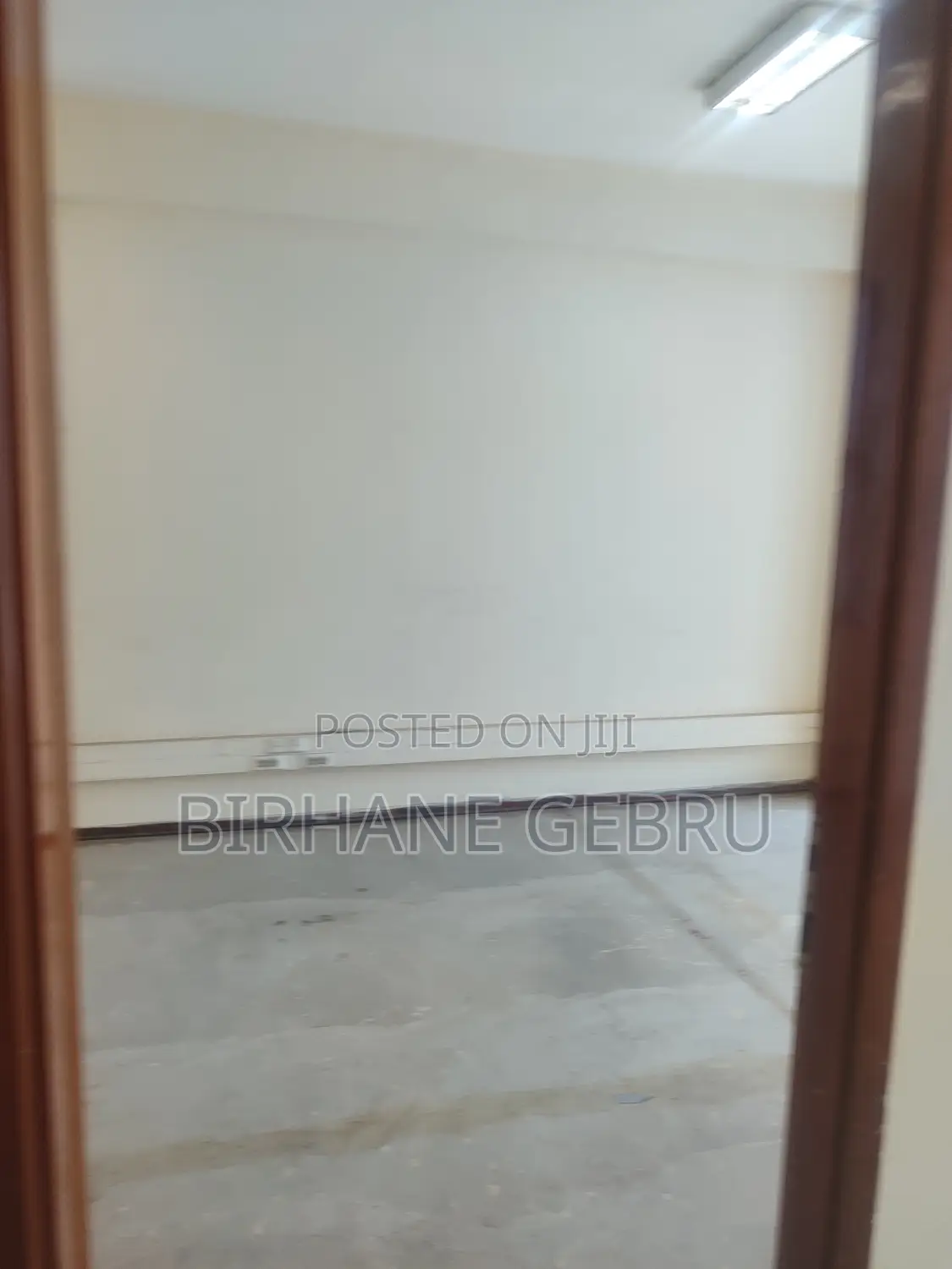 Luxury Apartiment Rent for Office