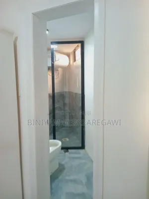 Furnished 2bdrm Apartment in Luxury Apartment, Bole for rent