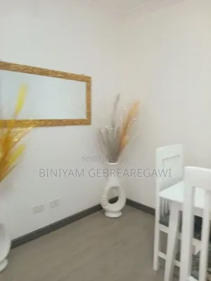 Furnished 2bdrm Apartment in Luxury Apartment, Bole for rent