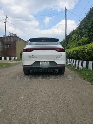 Hozon Neta Aya 2023 White