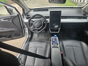 Hozon Neta Aya 2023 White