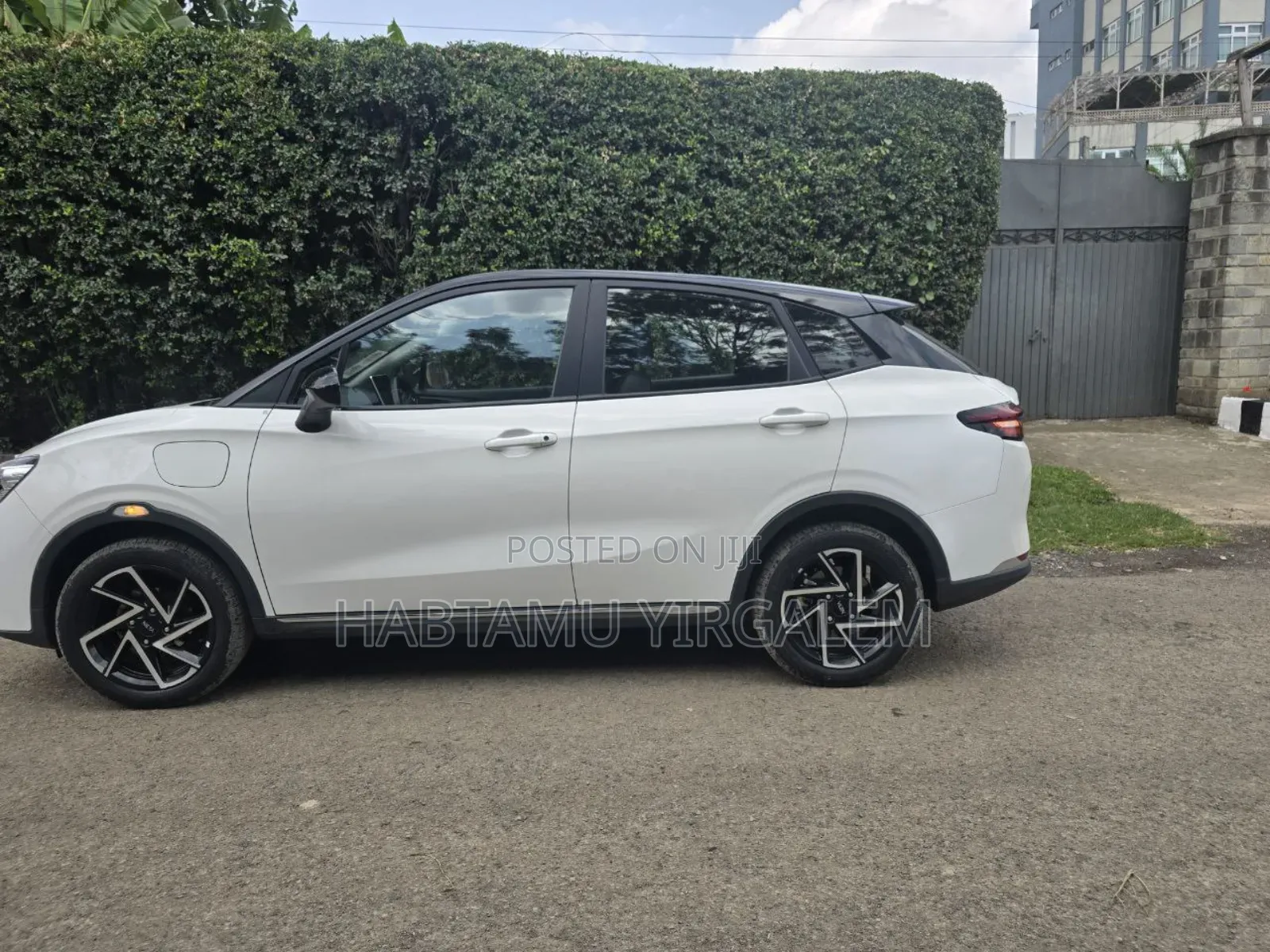 Hozon Neta Aya 2023 White