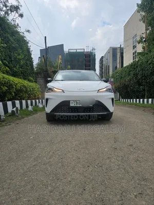 Hozon Neta Aya 2023 White