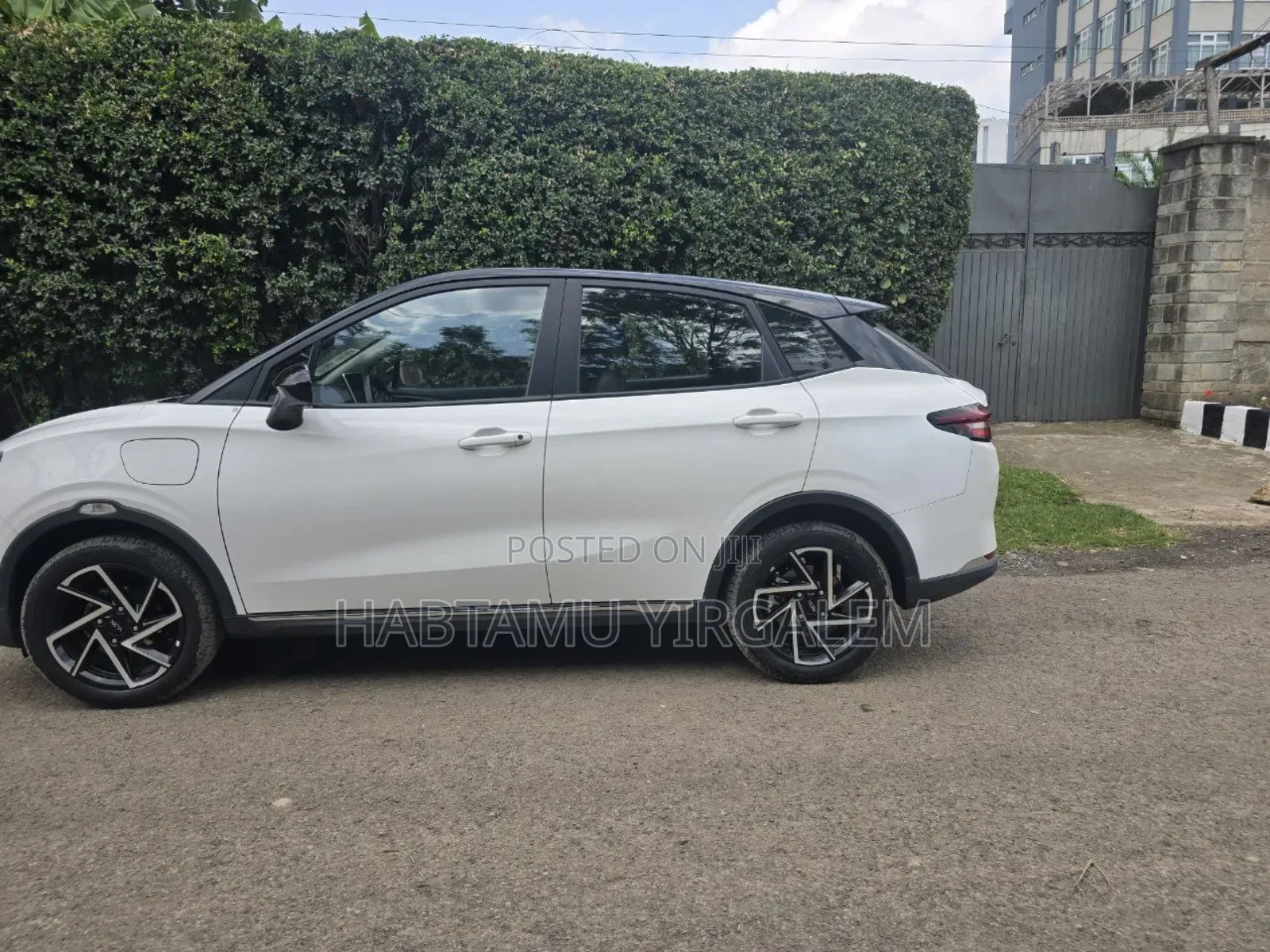 Hozon Neta Aya 2023 White