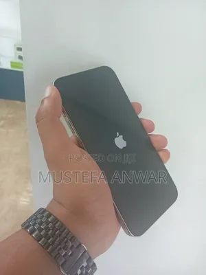 Apple iPhone 15 Pro Max 1 TB Silver