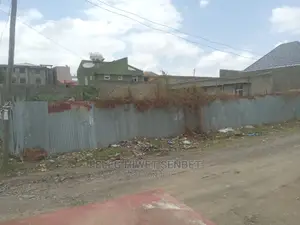 የሚሸጥ ለማንኛውም አገልግሎት መዋል የሚችል የዋናው አስፓልት ግልባጭ