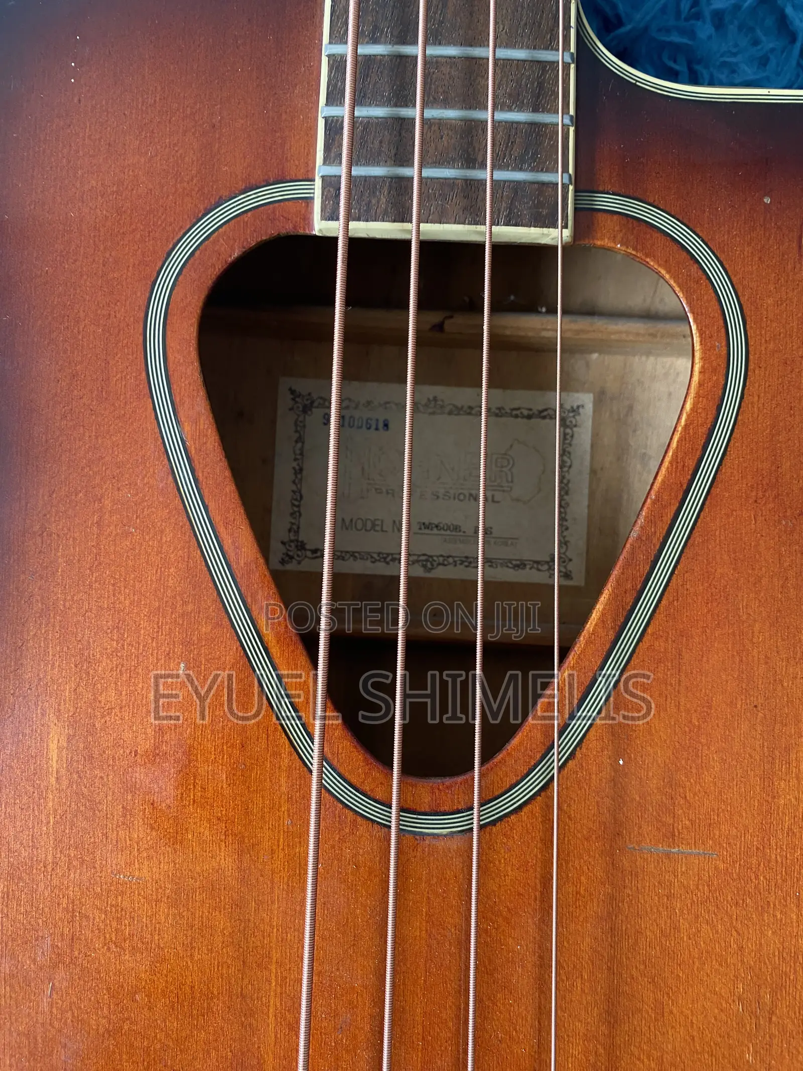 Acoustic Bass Guitar