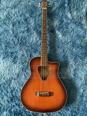 Photo - Acoustic Bass Guitar