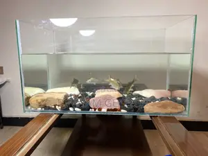 Aquarium (Fish Tank)