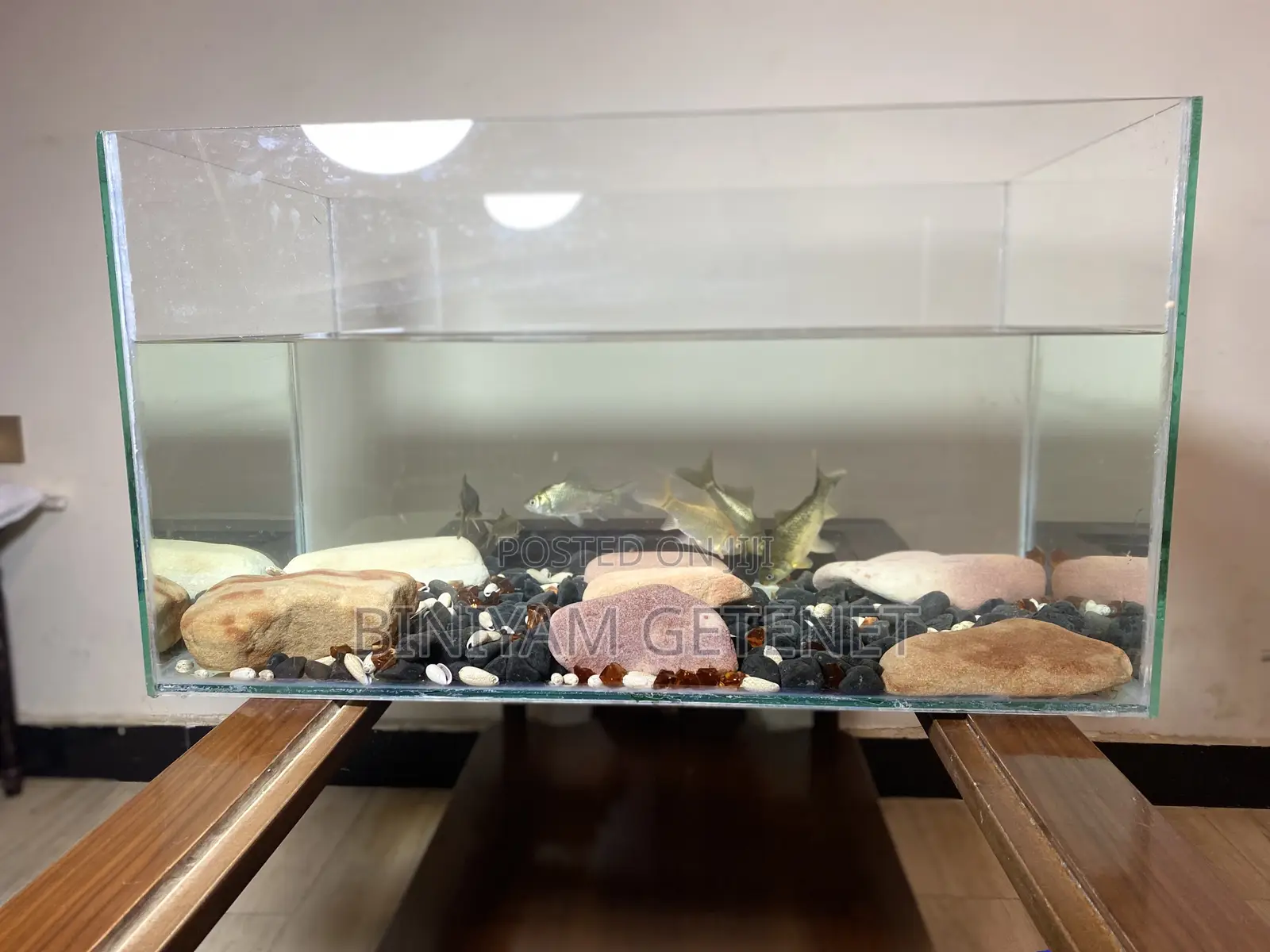 Aquarium (Fish Tank)