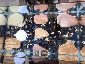 Aquarium (Fish Tank)