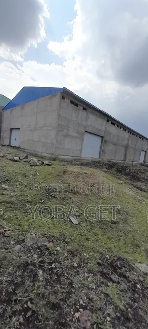 Photo - አስቸካይ የሚሸጥ መጋዘን