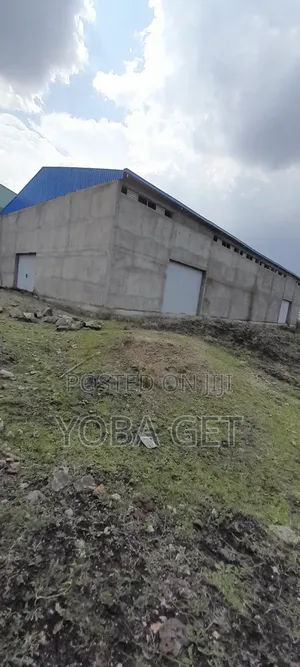 አስቸካይ የሚሸጥ መጋዘን