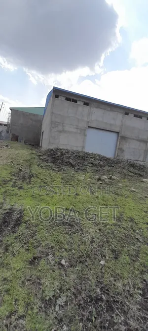 አስቸካይ የሚሸጥ መጋዘን