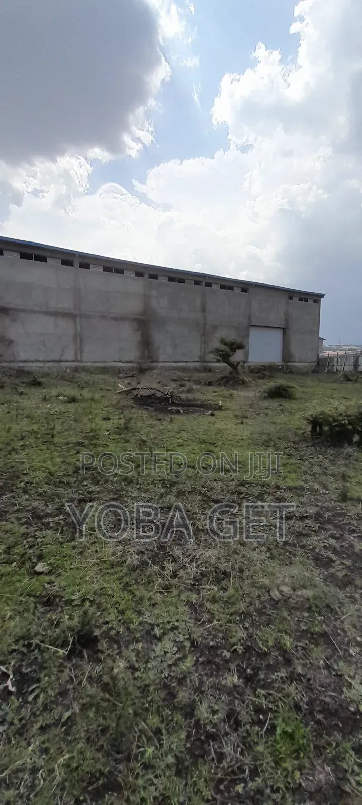 አስቸካይ የሚሸጥ መጋዘን