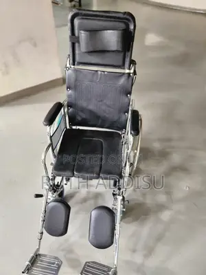 Wheelchair跟上wheelchair滿地wheelchair由來wheelchair國會wheelchair