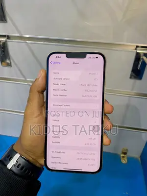 Apple iPhone 13 Pro Max 256 GB Gold