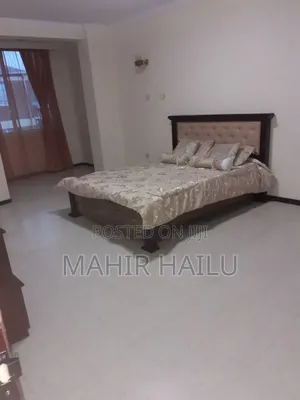 Furnished 3bdrm Apartment in Real, Bole for rent
