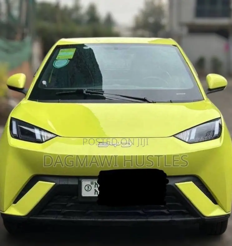BYD Seagull 38 kWh FWD 2024 Yellow