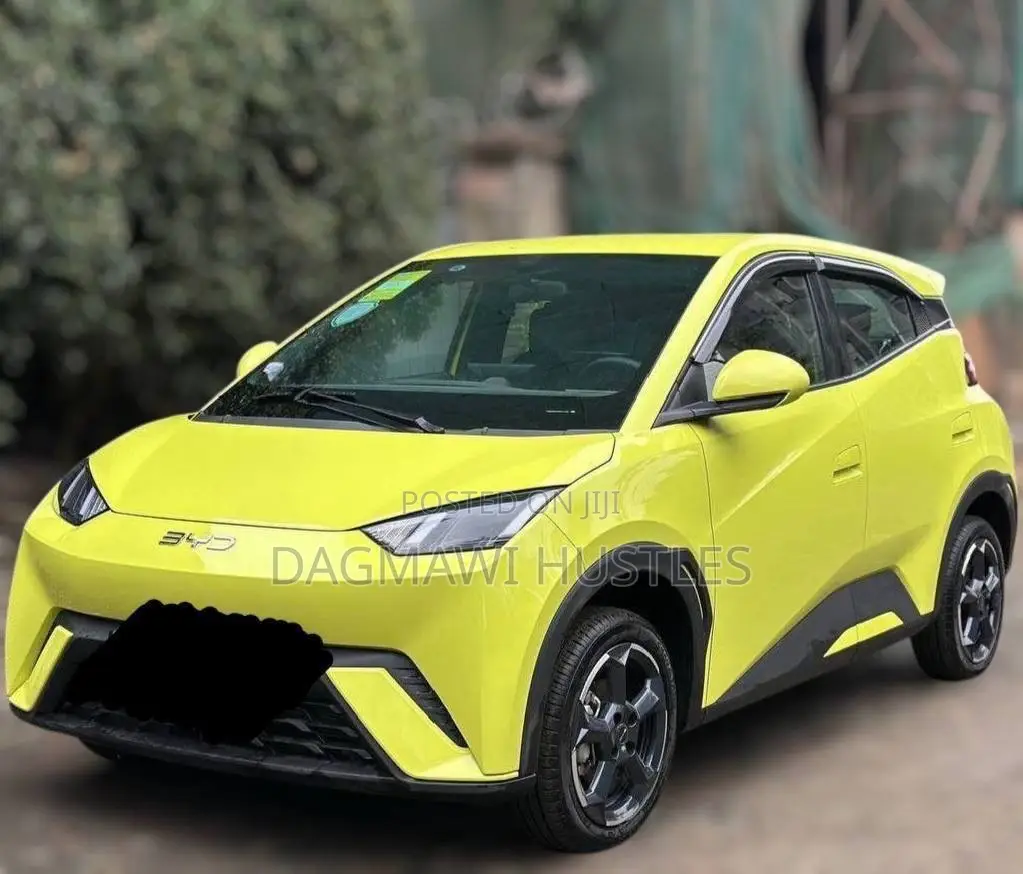 BYD Seagull 38 kWh FWD 2024 Yellow