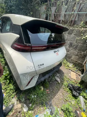 New BYD Seagull 2025 White