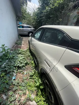 New BYD Seagull 2025 White