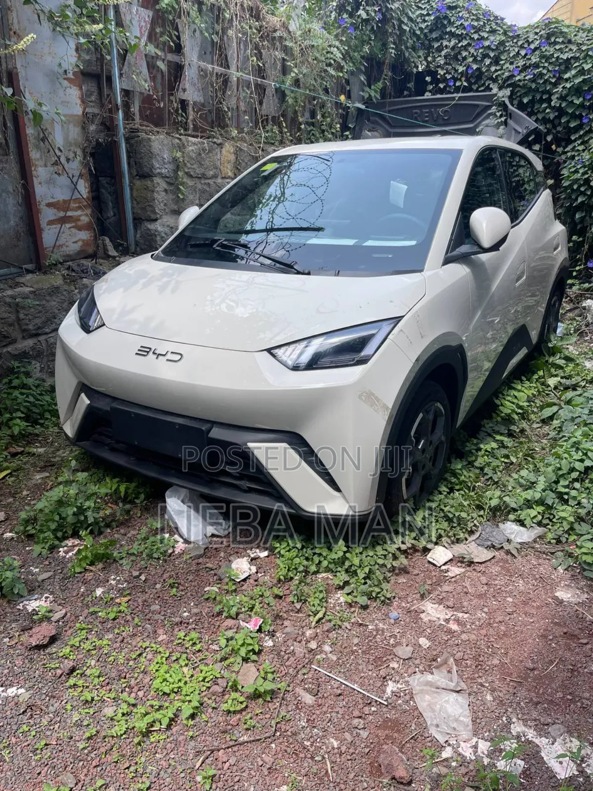 New BYD Seagull 2025 White