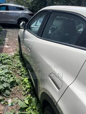 New BYD Seagull 2025 White