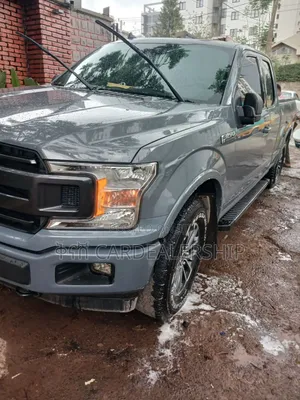 Ford F-150 2020 Gray