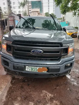 Ford F-150 2020 Gray