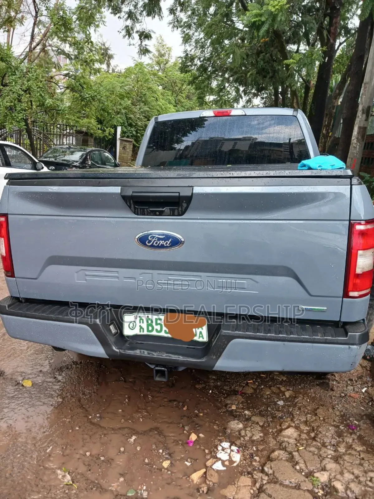 Ford F-150 2020 Gray
