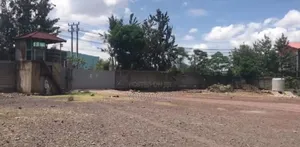 አስቸካይ የሚሸጥ መጋዘን