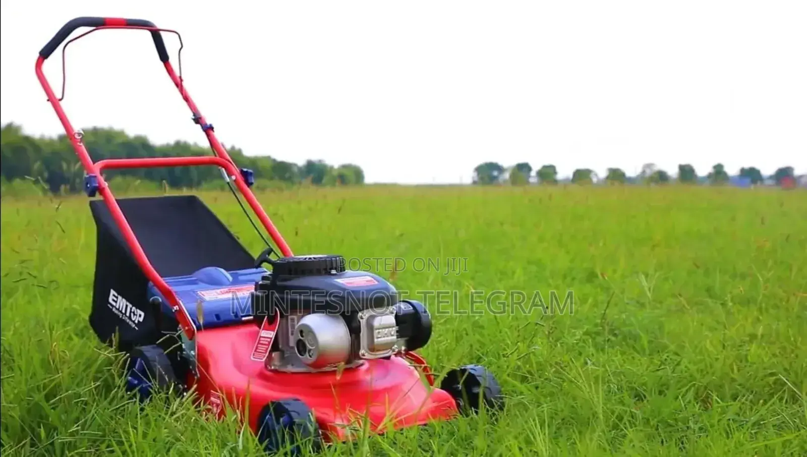 Gasoline Lawn Mower