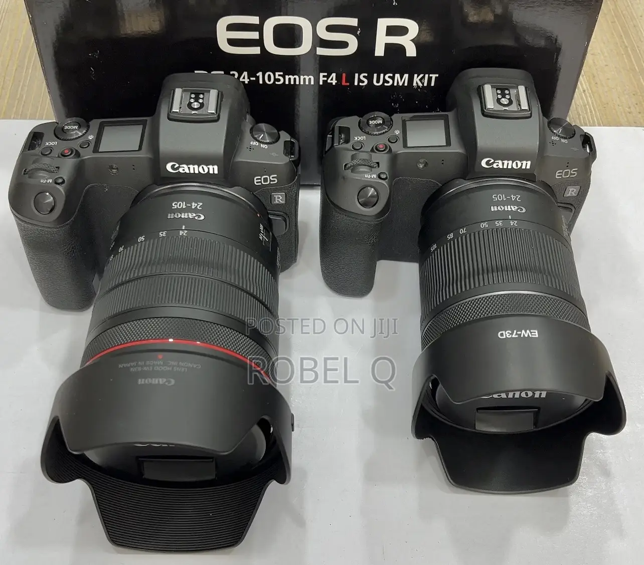 Canon R With 24-105mm Red Ring Out of the Box