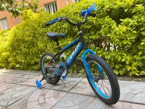 Kids Bike Sayckl for Your Son