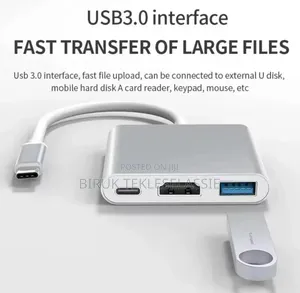 Type C 3 in 1 Hub Converter Adapter
