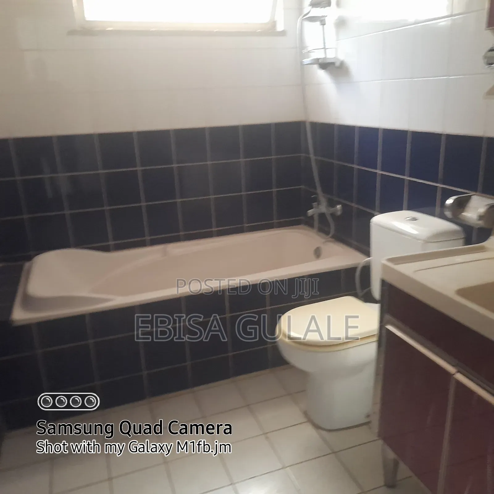 Furnished 5bdrm Farm House in Rooseta Real State, Oromia-Finfinne