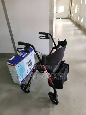 Photo - Walker Medical畾裡medical Walker亞軍european Standard Walker