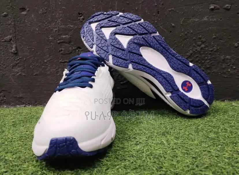 Original Under Armour Charged Rogue 2 Men’S Shoes