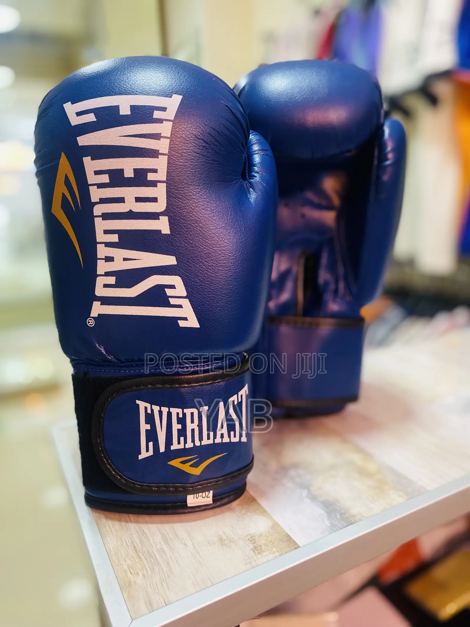 Everlast Proper Boxing Gloves