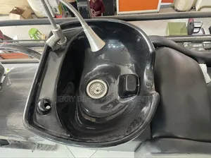 Hair Wash Basin With Fiber Bowl and Sofa Chair