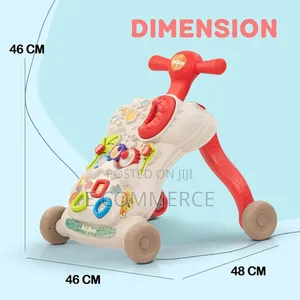 2in1 Baby Push Walker