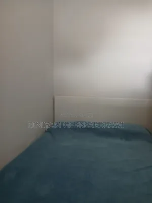 Photo - Furnished 2bdrm Apartment in Apartment, Yeka for rent